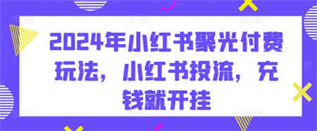 2024年小红书聚光付费玩法，小红书投流，充钱就开挂-营销武器库