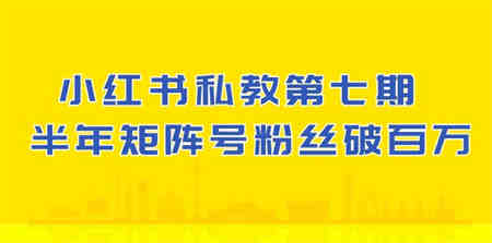 小红书私教第七期，小红书90天涨粉18w，1周涨粉破万 半年矩阵号粉丝破百万-营销武器库