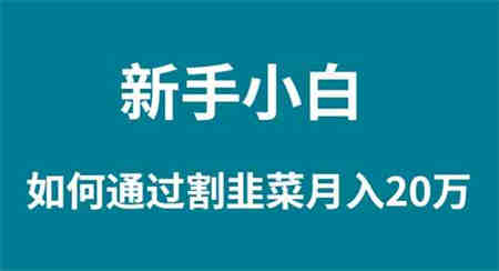 （9308期）新手小白如何通过割韭菜月入 20W-营销武器库