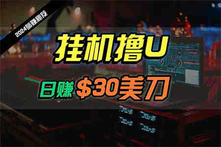 （10013期）日赚30美刀，2024最新海外挂机撸U内部项目，全程无人值守，可批量放大-营销武器库