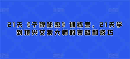 21天《子弹秘密》训练营，21天学到顶尖文案大师的策略和技巧-营销武器库