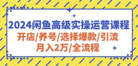 2024闲鱼高级实操运营课程：开店/养号/选择爆款/引流/月入2万/全流程-营销武器库