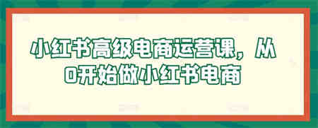 小红书高级电商运营课，从0开始做小红书电商-营销武器库