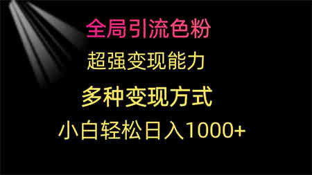 （9680期）全局引流色粉 超强变现能力 多种变现方式 小白轻松日入1000+-营销武器库