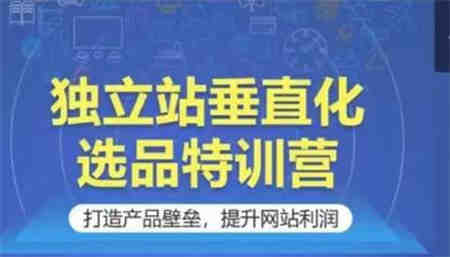 独立站垂直化选品特训营，打造产品壁垒，提升网站利润-营销武器库