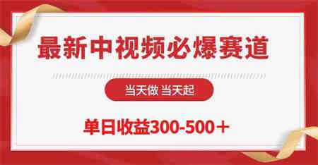 （10105期）最新中视频必爆赛道，当天做当天起，单日收益300-500＋！-营销武器库