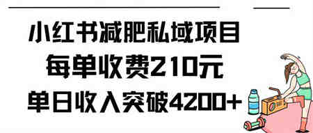 （9466期）小红书减肥私域项目每单收费210元单日成交20单，最高日入4200+-营销武器库