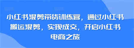 小红书混剪带货训练营，通过小红书搬运混剪，实现成交，开启小红书电商之旅-营销武器库