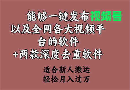 （9319期）能够一键发布视频号以及全网各大视频平台的软件+两款深度去重软件 适合…-营销武器库