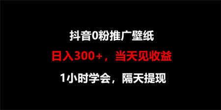 日入300+，抖音0粉推广壁纸，1小时学会，当天见收益，隔天提现-营销武器库