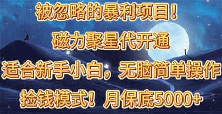 （10245期）被忽略的暴利项目！磁力聚星代开通捡钱模式，轻松月入五六千-营销武器库