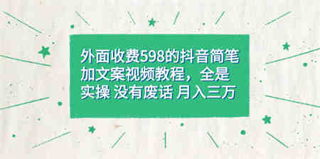 外面收费598抖音简笔加文案教程，全是实操 没有废话 月入三万（教程+资料）-营销武器库