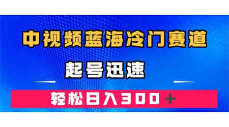 中视频蓝海冷门赛道，韩国视频奇闻解说，起号迅速，日入300＋-营销武器库