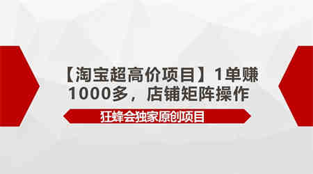 【淘宝超高价项目】1单赚1000多，店铺矩阵操作-营销武器库