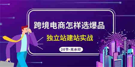 （9369期）跨境电商怎样选爆品，独立站建站实战（20节高清无水印课）-营销武器库