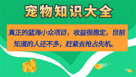 真正的蓝海小众项目，宠物知识大全，收益很稳定（教务+素材）-营销武器库