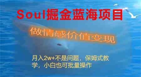 Soul掘金蓝海项目细分赛道，做情感价值变现，月入2w+不是问题-营销武器库