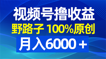 视频号野路子撸收益，100%原创，条条爆款，月入6000＋-营销武器库