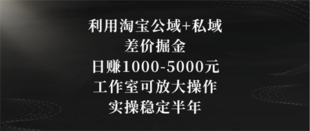 利用淘宝公域+私域差价掘金，日赚1000-5000元，工作室可放大操作，实操…-营销武器库