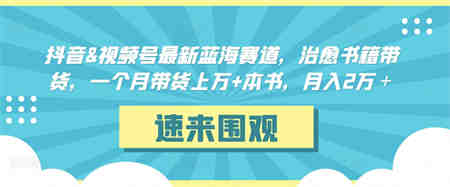 抖音&视频号最新蓝海赛道，治愈书籍带货，一个月带货上万+本书，月入2万＋-营销武器库