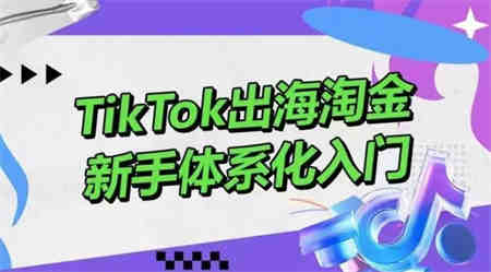 TikTok出海淘金，新手体系化入门，零基础快速入门，掌握短视频、直播带货等引流到变现的知识-营销武器库