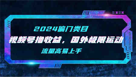 （9774期）【2024偏门类目】视频号撸收益，二创国外极限运动视频锦集，流量高易上手-营销武器库